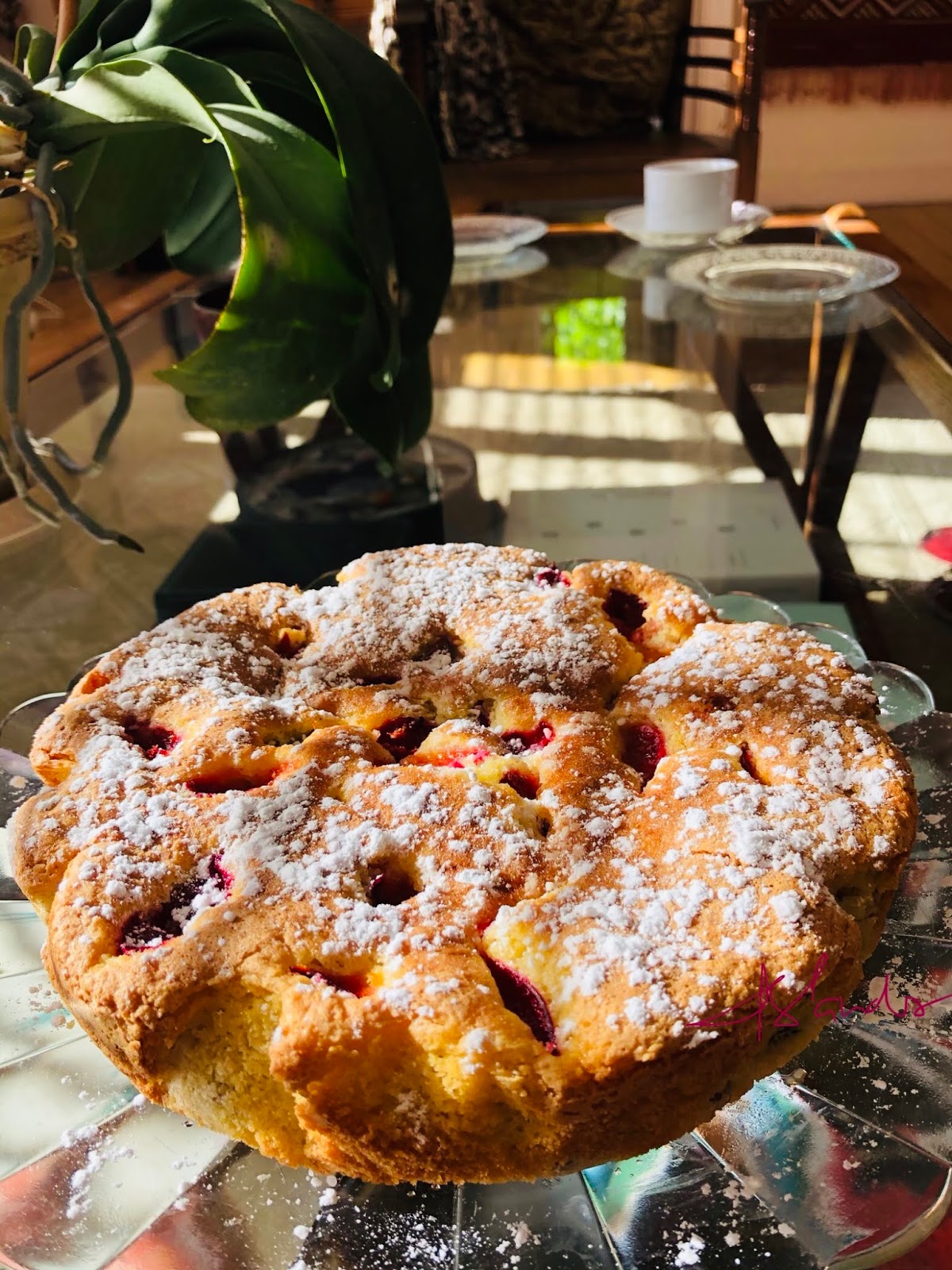 Rhubarbe & plum sponge cake, without wheat flour