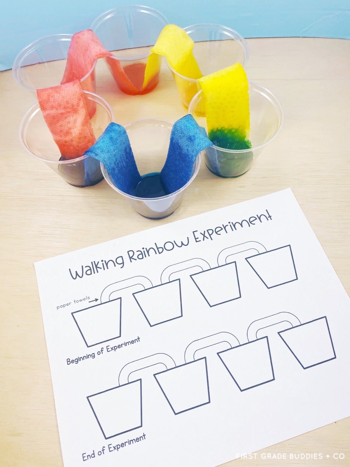 Simple Science Walking Rainbow First Grade Buddies