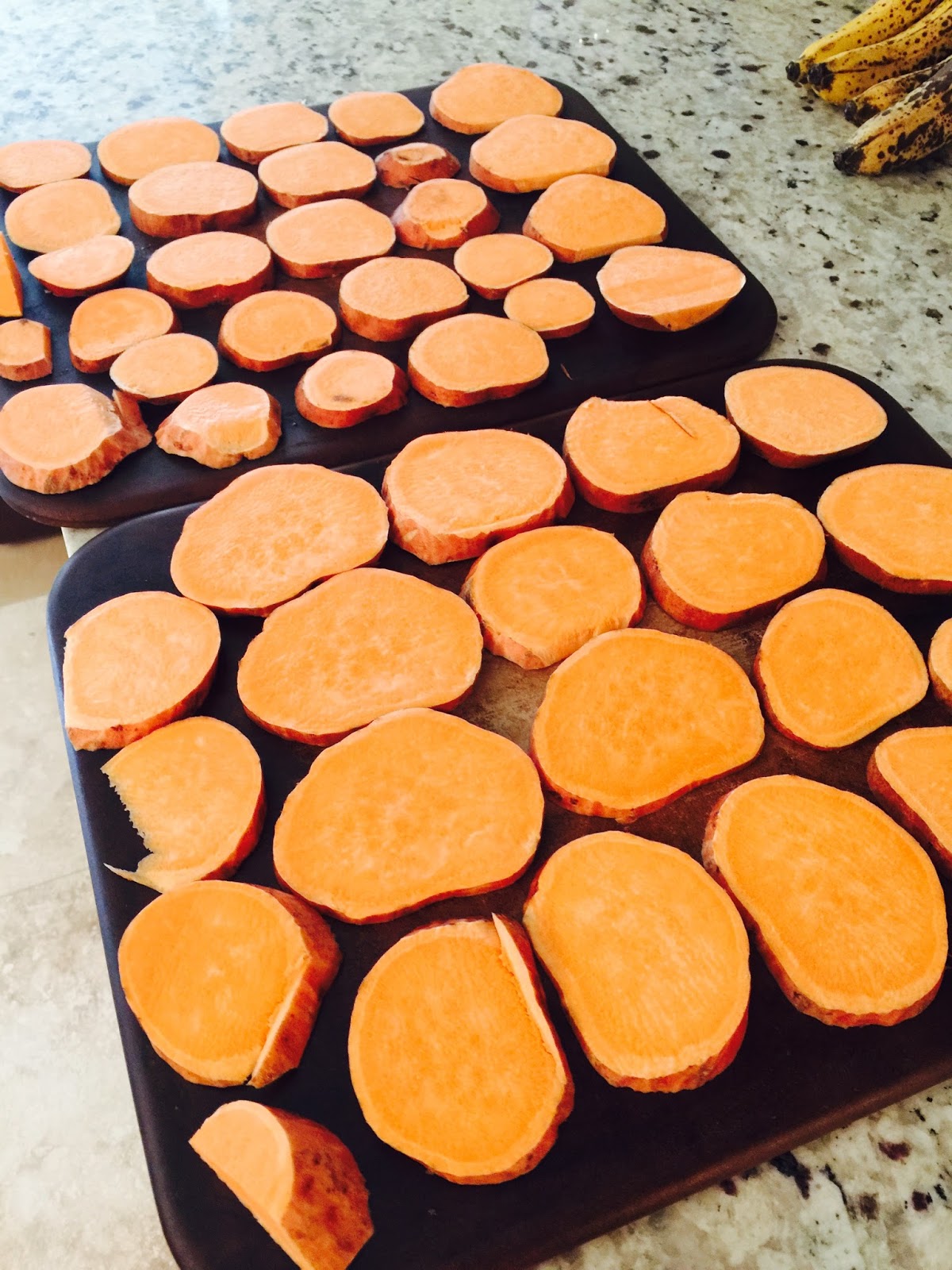 Apples And Sweet Potatoes For Puppies photo