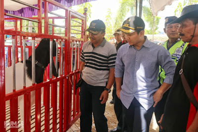 Bupati Trenggalek: Budidaya Kambing PE Angkat Ekonomi Masyarakat
