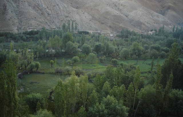 road trip srinagar to leh ladakh bus