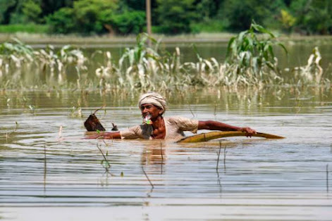 https://www.thepraman.com/2021/07/biharflood.html