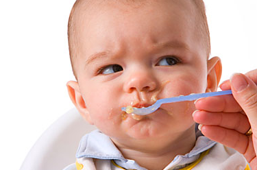 Keanekaragaman Makhluk Hidup Ciri Ciri Makhluk Hidup Pelajaran Ipa Smp Mts Kelas Vii