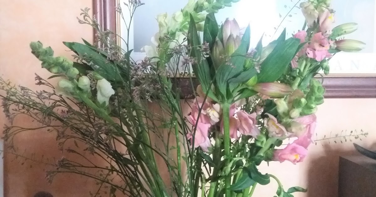 Bloom & Wild Flower Delivery Review Steff in Scotland