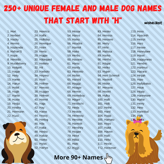 Good Dog Names That Start with H