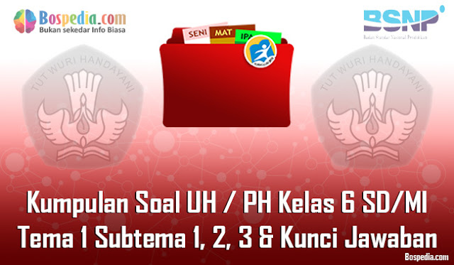 Kumpulan Soal UH / PH Kelas 6 SD/MI Tema 1 Subtema 1, 2, 3 dan Kunci Jawaban