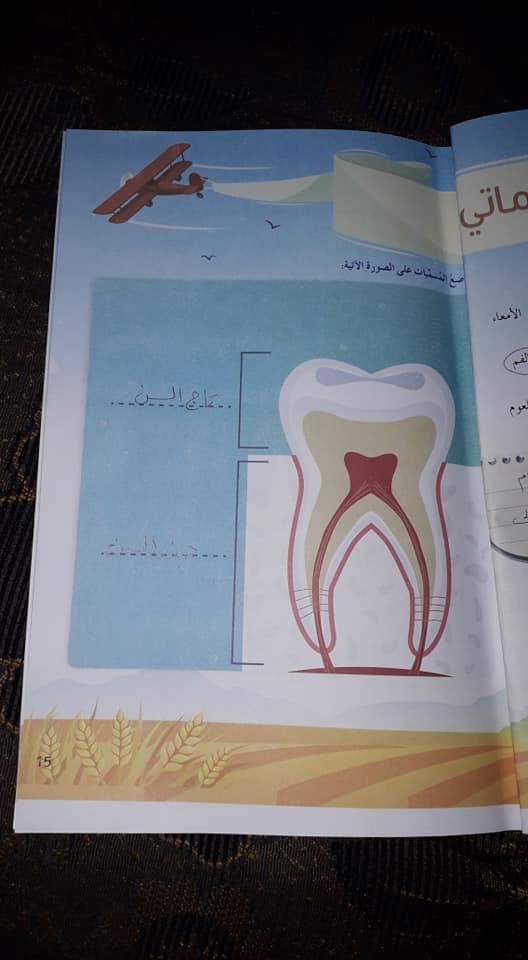 الاول صف حل العلوم الفصل ثاني كتاب ابتدائي حل كتاب