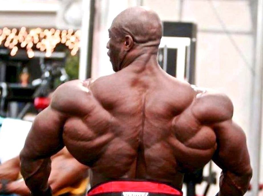 Bodybuilding Pic,s & Tips ( POWER HOUSE ): Body Builders Back View