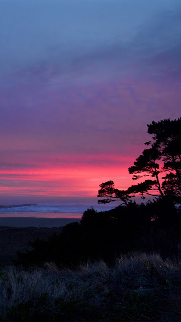 Sunset, Trees, Silhouettes, Dusk, Nature