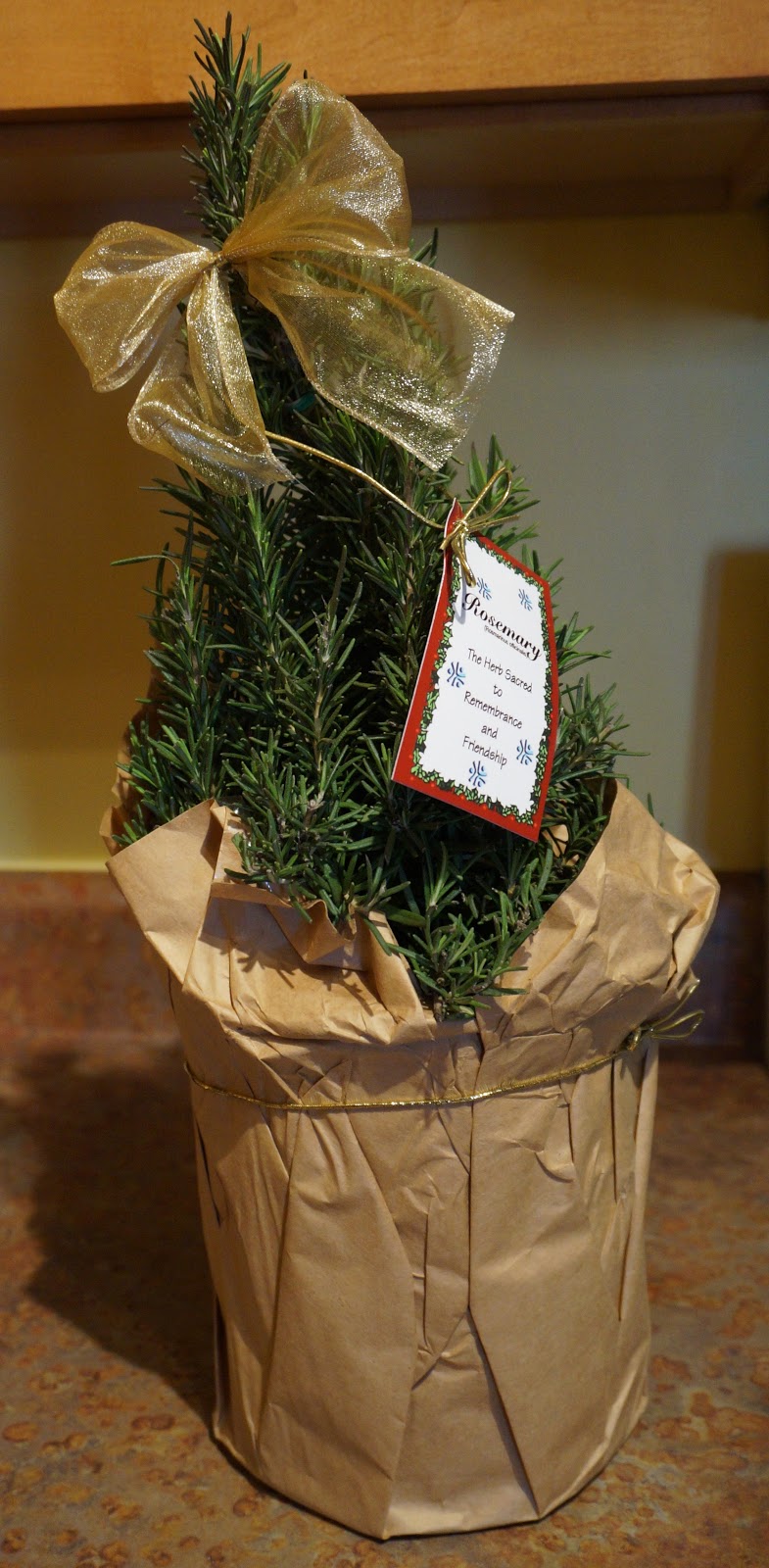 Exploring Trader Joe's Rosemary tree
