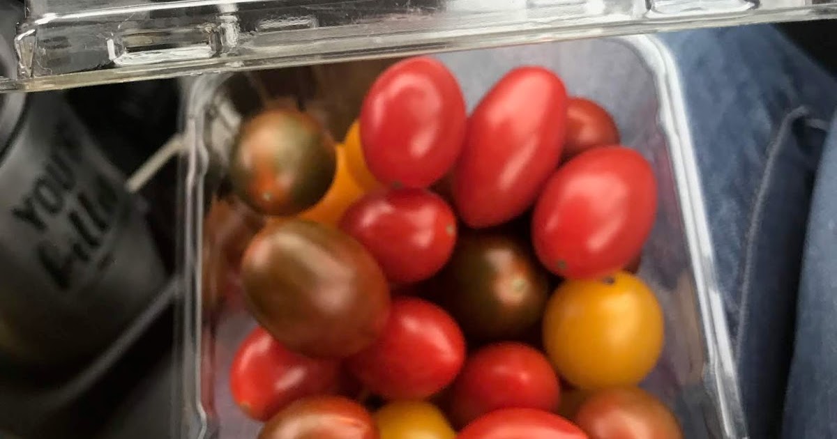 Bonni Brodnick Blog I Say "Tomato," You Say "Listeria Monocytogenes"