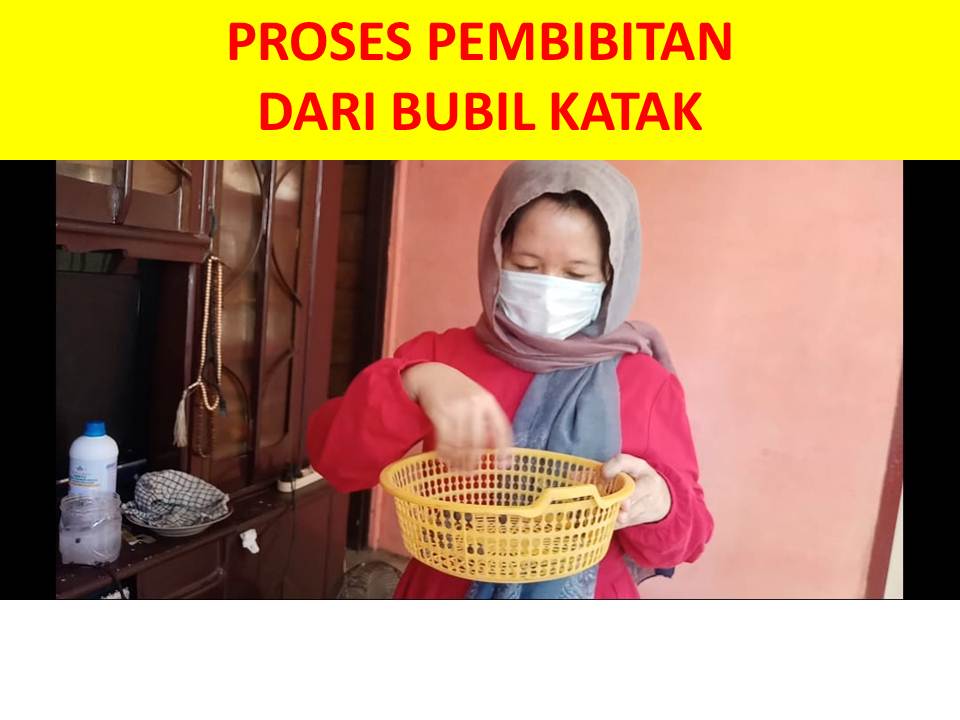 Cara Budidaya Porang Agar Cepat Panen,082281150149