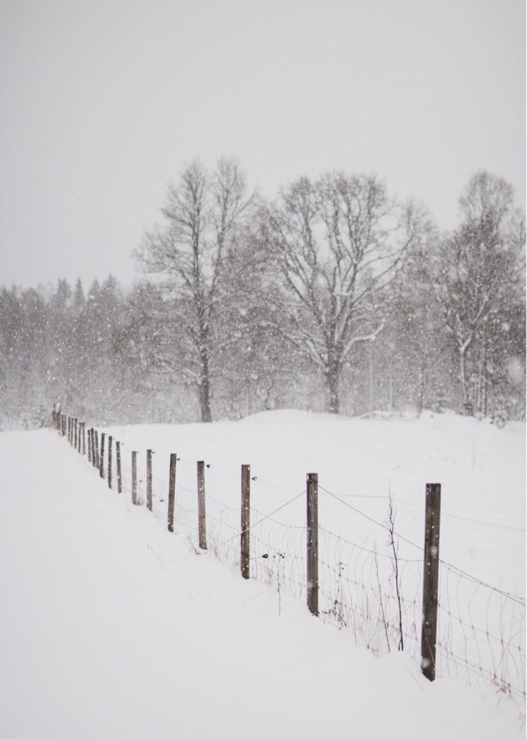 A Cosy Norwegian Country Cottage At Christmas