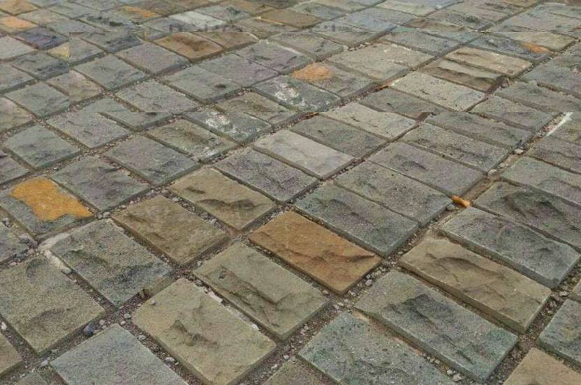 18+ Batu Alam Lantai Teras