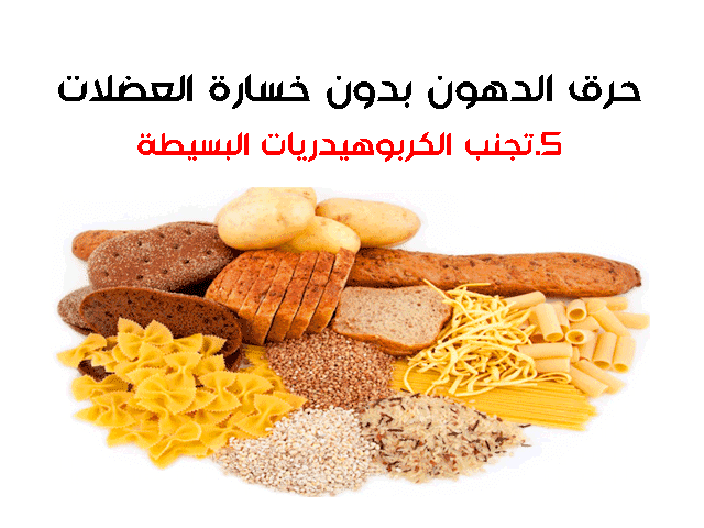 حرق الدهون بدون خسارة العضلات حرق الدهون بدون خسارة العضلات