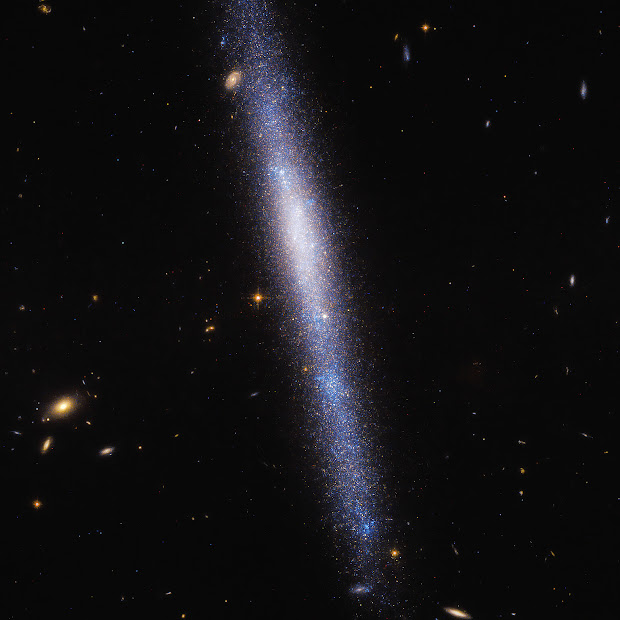 Edge-On Spiral Galaxy UGCA 193