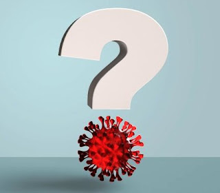 1140 covid myth questions.imgcache.rev.web.700.403
