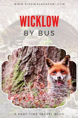 A Wicklow Mountains Bus Tour