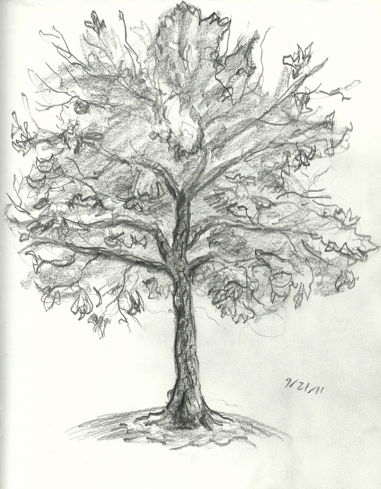 Brandon Orden Tree Drawings