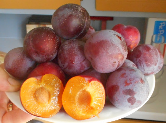 Toka plums