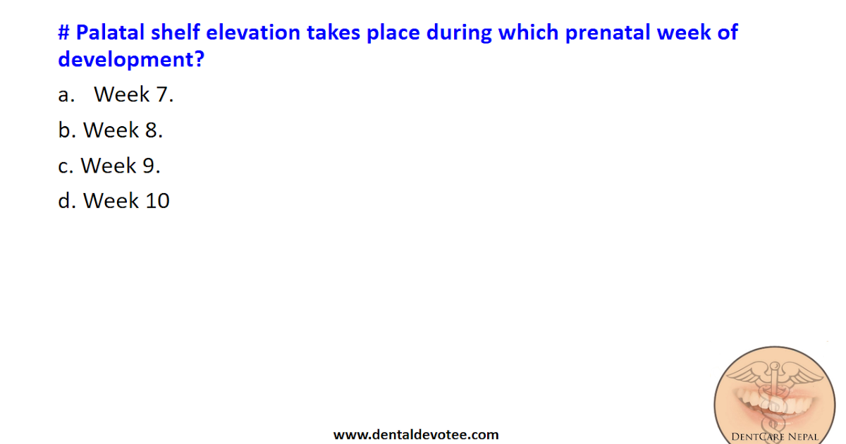 Dentosphere World of Dentistry Palatal shelf elevation takes place