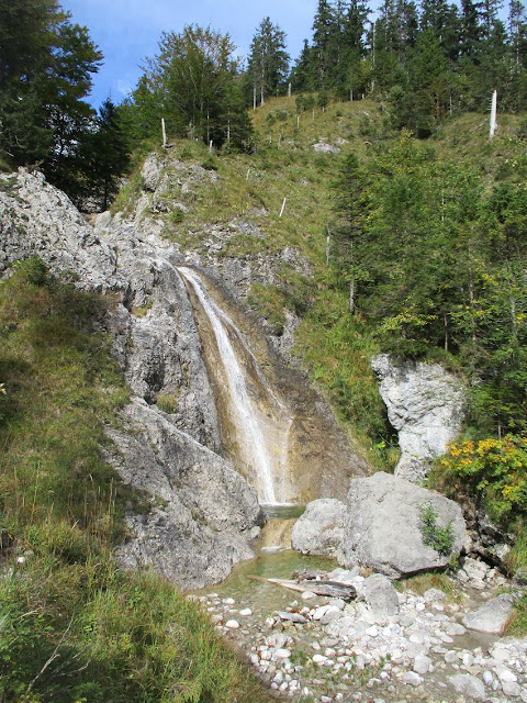 Freeride Inc Austria Mountainbike Blog Deutschland Osterreich