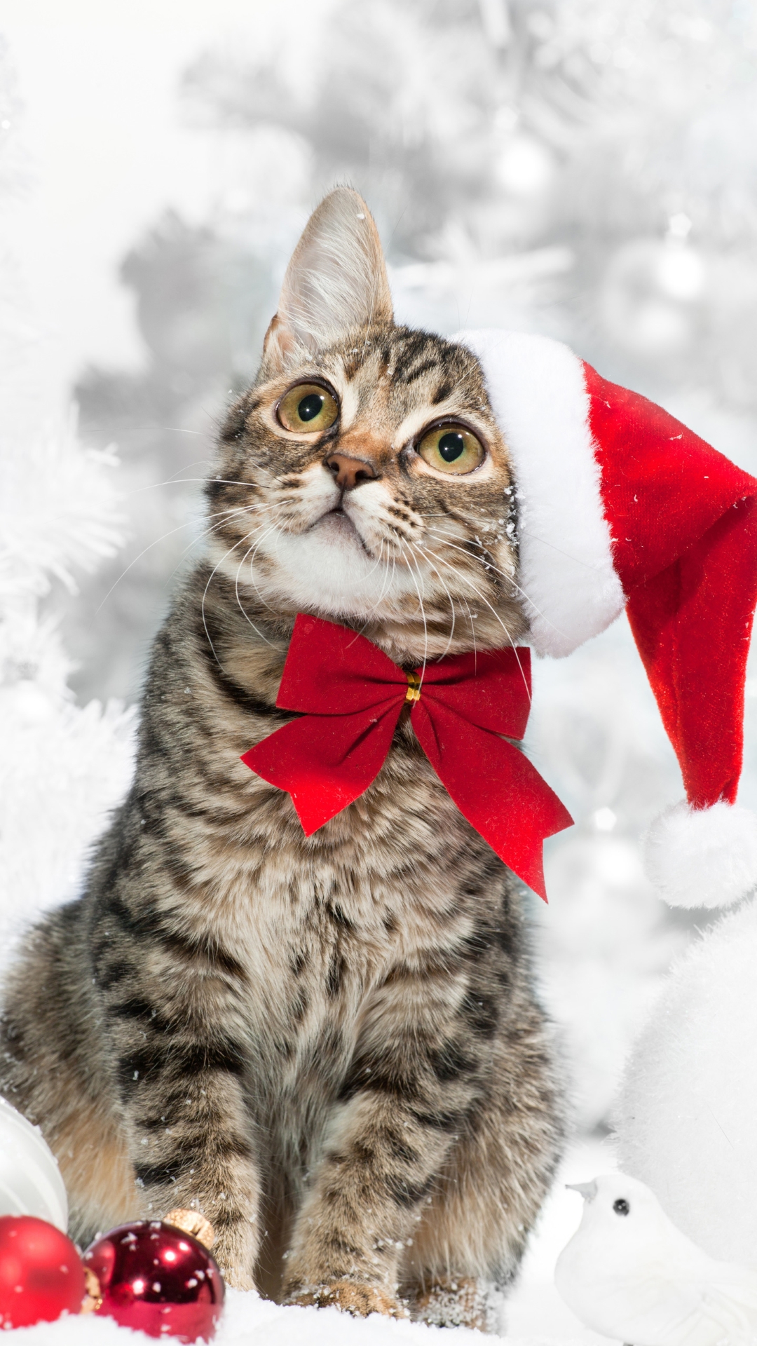 Christmas Wallpapers - WallpaperJet