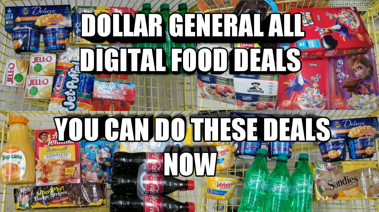 DOLLAR GENERAL FOOD DEALS YOU CAN DO THESE DEALS NOW