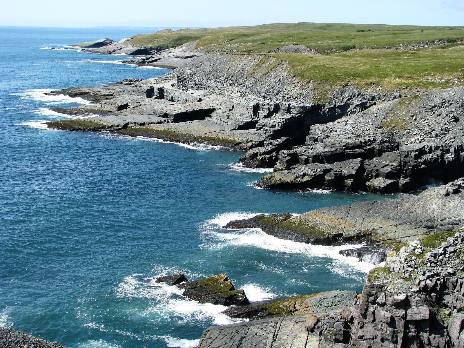 5five5 Mistaken Point (Canada)