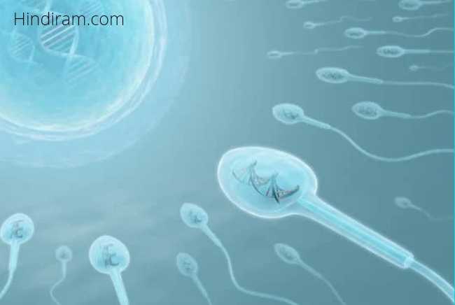 Normal-sperm-count-kitna-hona-chahiye