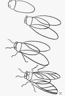 Pasos a pasos para dibujar animales - Como dibujar animales - How to