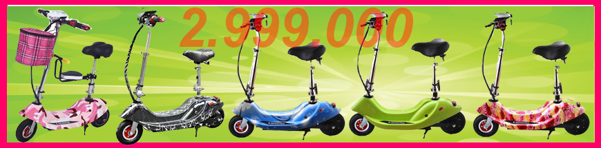 Mini E-Scooter