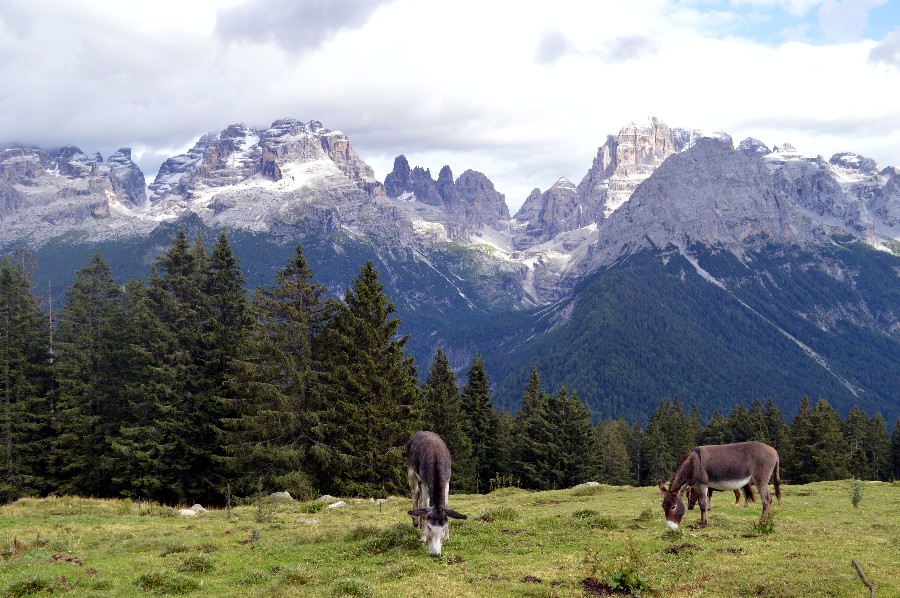 visit trentino passeggiate