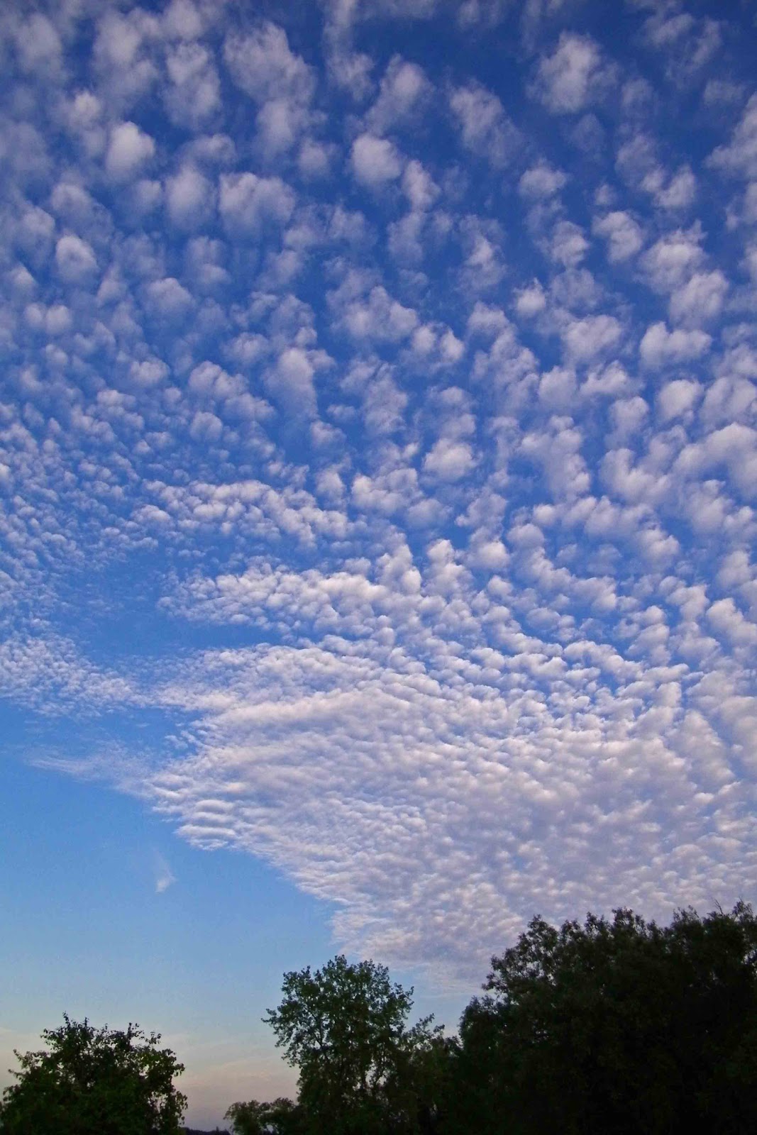 Photos by Stan Mackerel Sky [Sky Watch Friday]