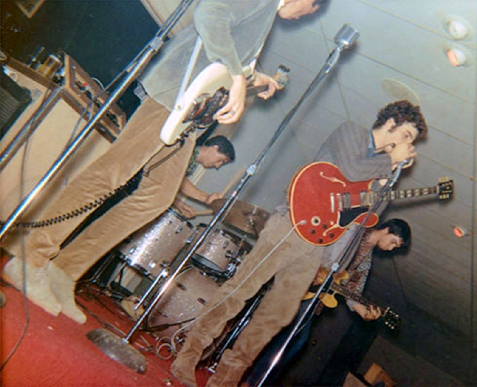 Forestdweller 13th Floor Elevators