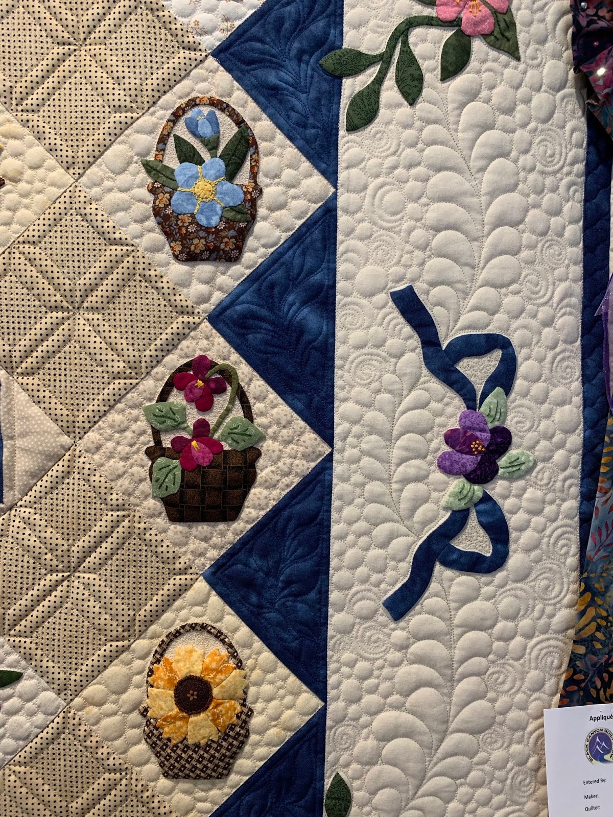 Sew Fun 2 Quilt Black Canyon Quilt Show Mary Ross
