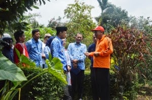 DESA NGRAYUDAN MASUK JUARA PERTAMA LOMBA PEMANFAATAN TOGA  TINGKAT NASIONAL