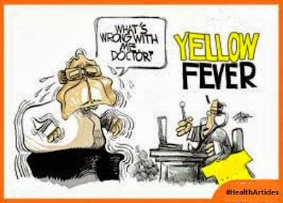 What is Yellow Fever, Causes and Treatment
