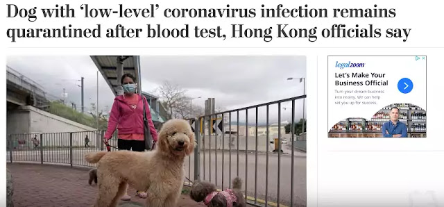 Coronavirus Update Coronavirus Update