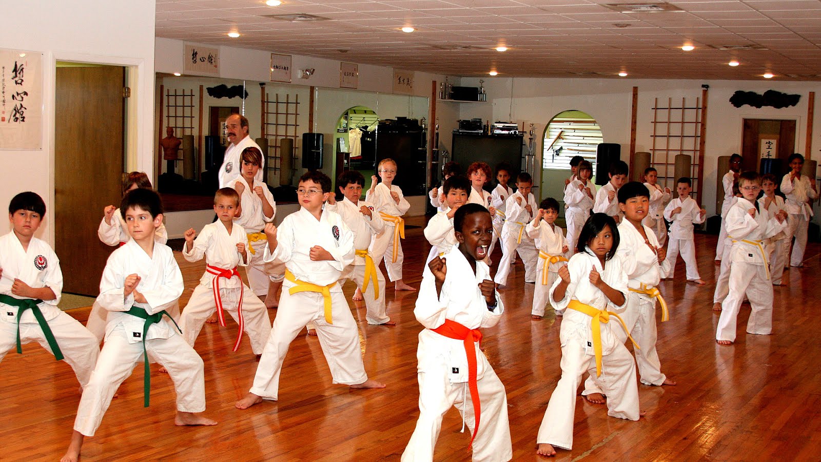 Karate Lessons For Beginners Karate Choices