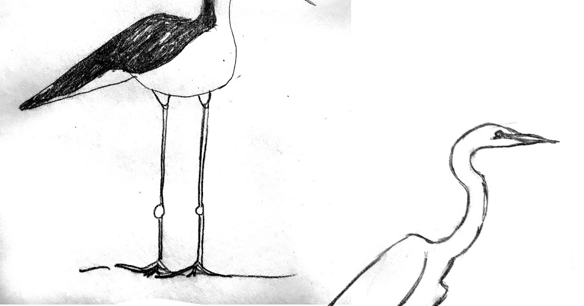 The Sketchables Something about these long bird legs