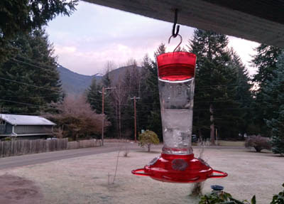 Photo of a frozen hummingbird feeder on a frosty day