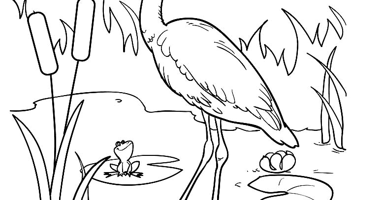 mewarnai gambar burung bangau