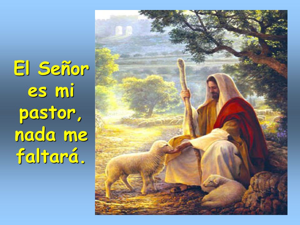 Reflexiones Diarias de Vida Conozcamos al Pastor Reflexiones Diarias de Vida Conozcamos al Pastor