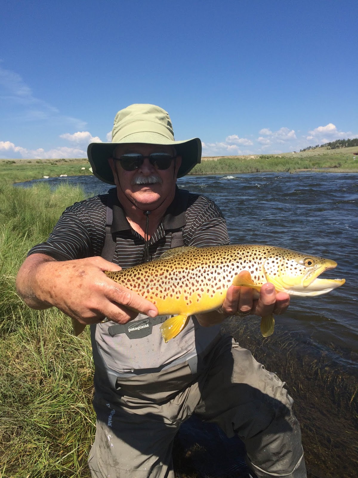 Addictive Angling Colorado Colorado Summer Fly Fishing