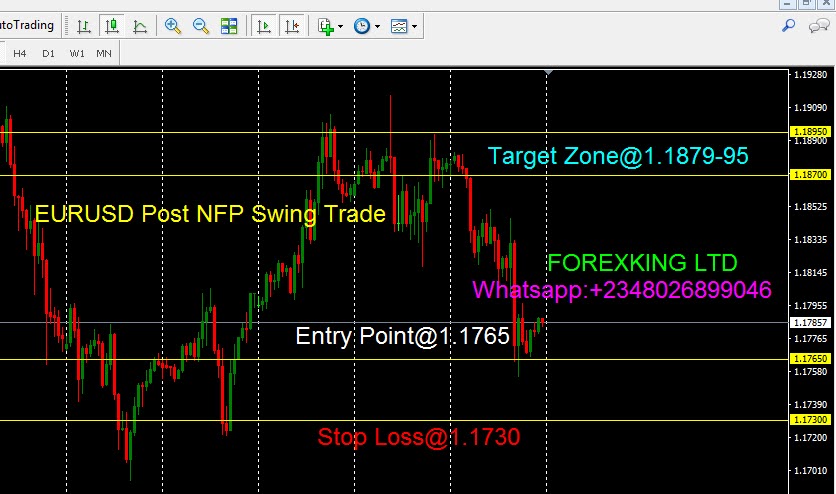 Forexking