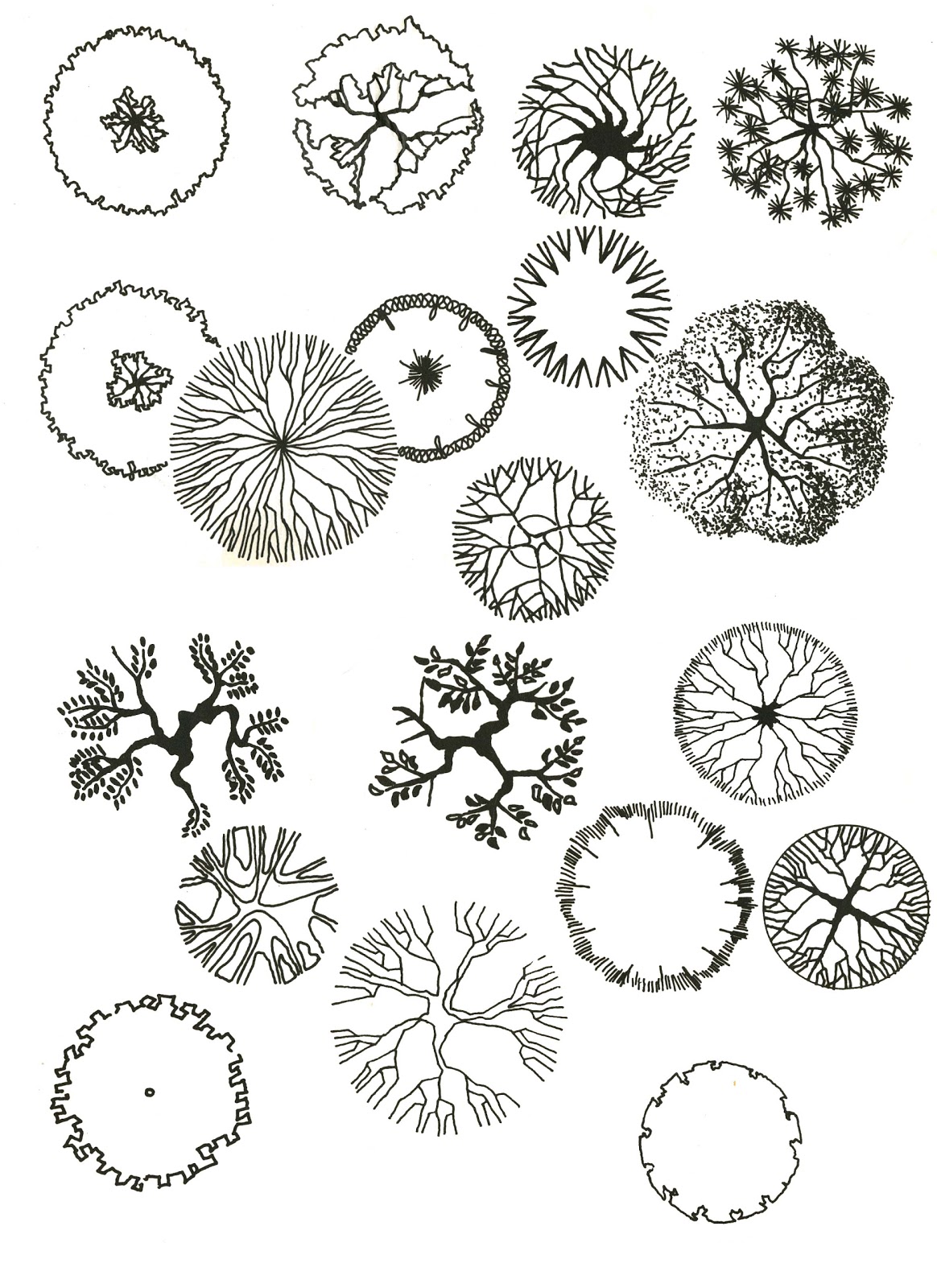 Деревья на плане на прозрачном фоне