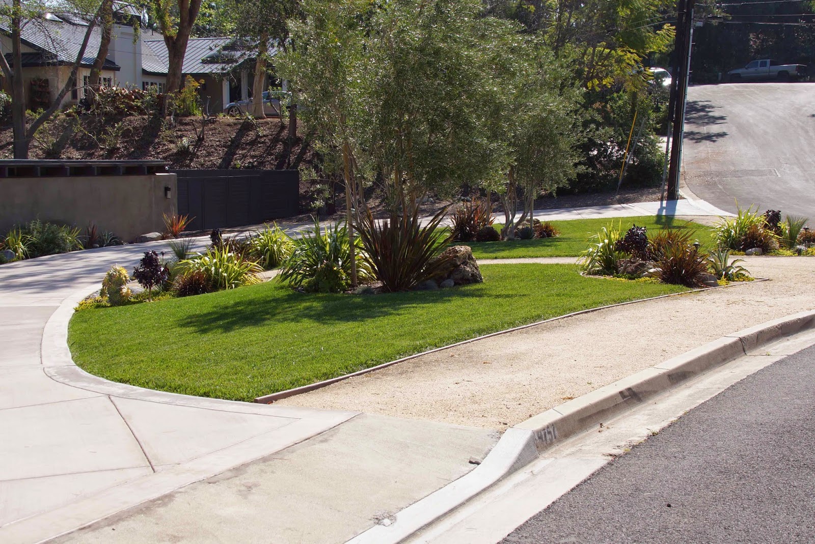 More Lawnless Front Yards