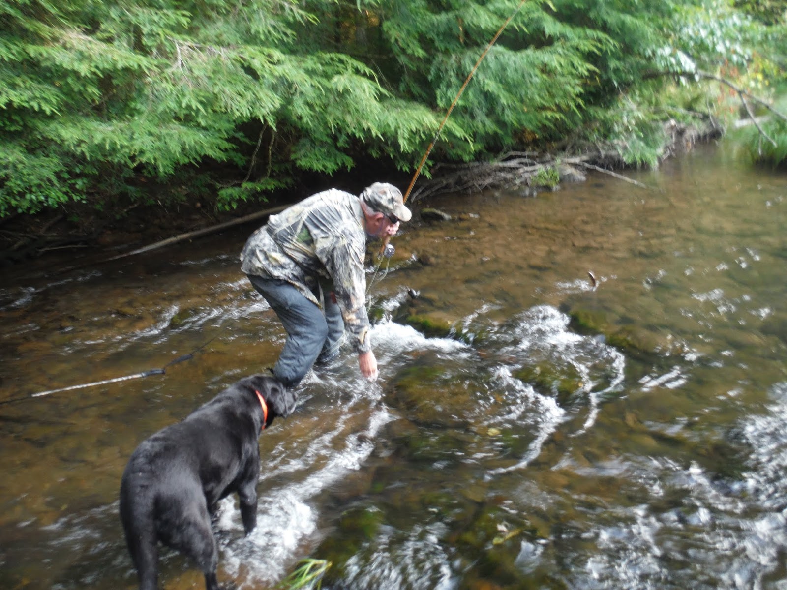 Mikey D Fishing Potter County Fishing Report Return to Upper Kettle Creek