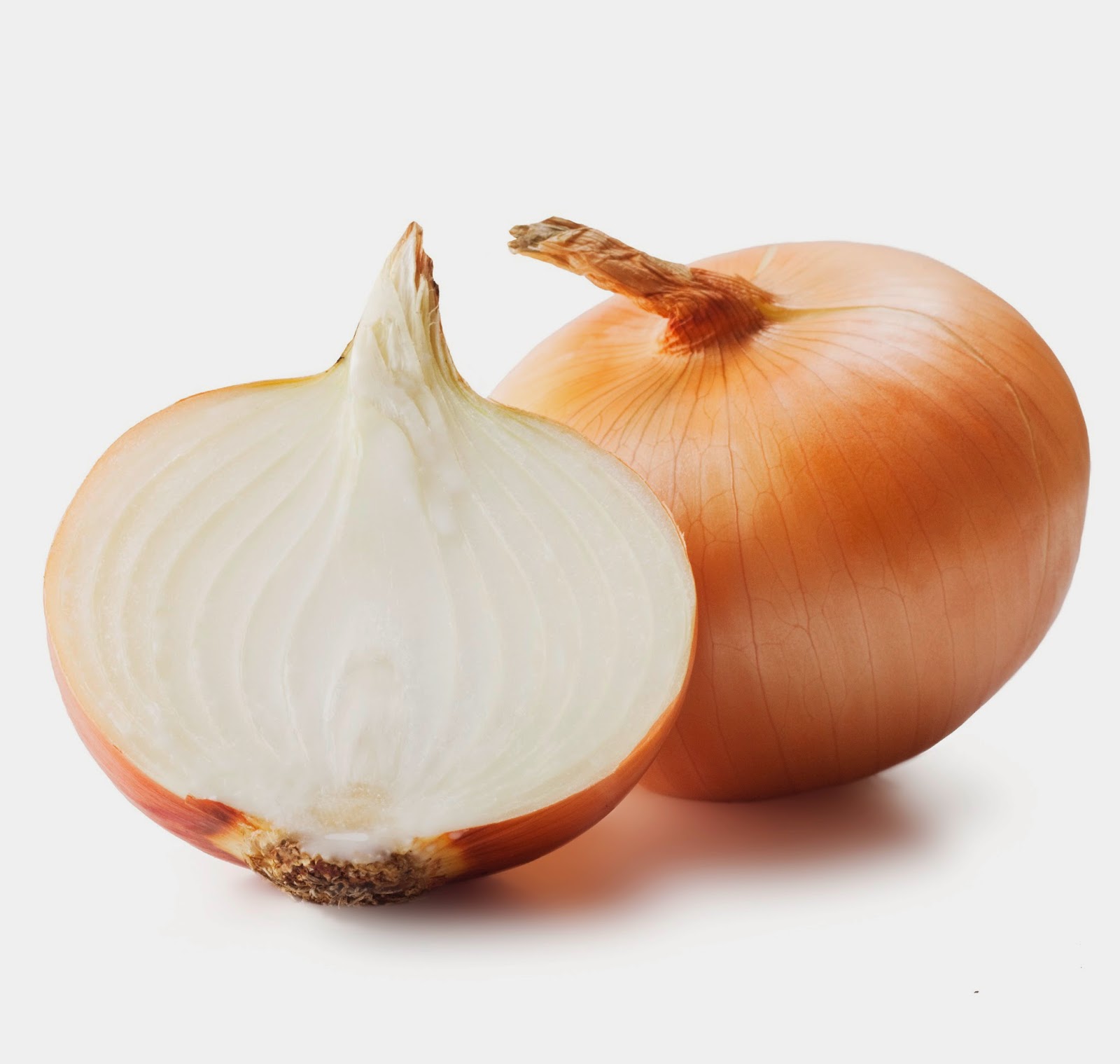 Küchenzwiebel Küchenzwiebel